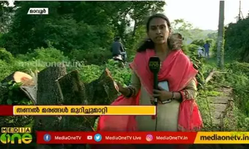 തണൽ മരങ്ങൾ മുറിച്ചുമാറ്റി തണൽ മരങ്ങൾ മുറിച്ചുമാറ്റി