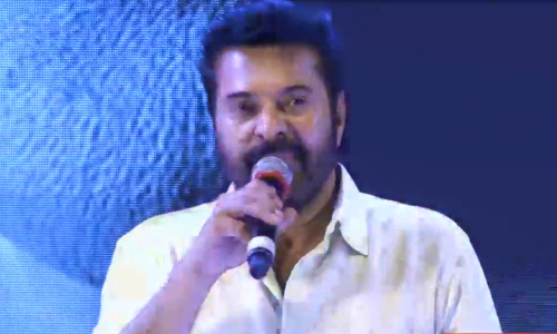 മധുരരാജ: ‘തള്ളാനില്ല’, കലക്ഷനെക്കുറിച്ച് മമ്മൂട്ടിയുടെ മാസ് ഡയലോഗ്