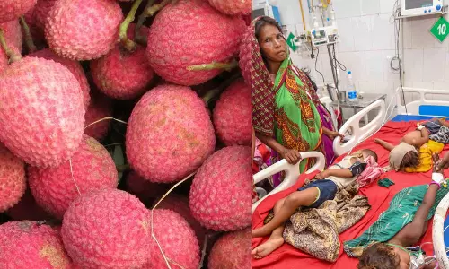 ബീഹാറിലെ ശിശു മരണങ്ങളും ലിച്ചി പഴവും... വസ്തുതയെന്ത്?