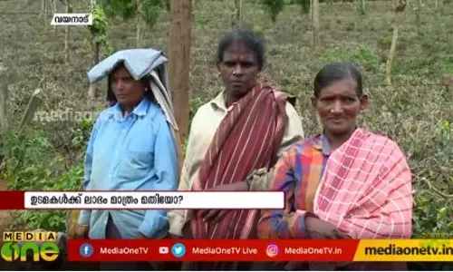 തോട്ടം മേഖലയിലെ തൊഴിലാളി ദുരിതം 