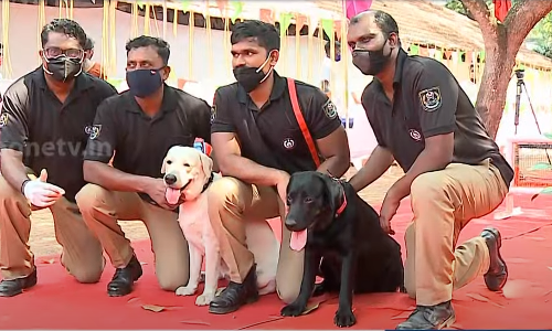 ചില്ലറക്കാരല്ല കെയ്റയും റൂബിയും; അച്ചടക്കത്തിലും അഭ്യാസ പ്രകടനത്തിലും മിടുക്കന്മാര്‍