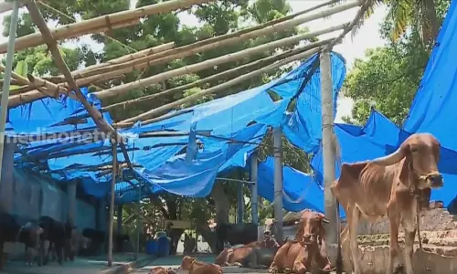 തിരുവനന്തപുരത്തെ അതിദാരുണമായ കാഴ്ച കണ്ണിൽപ്പെട്ട മന്ത്രി 