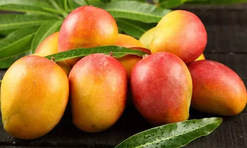 മധുരമൂറുന്ന മാമ്പഴക്കാലം കഴിഞ്ഞിട്ടില്ല, സംശയമുണ്ടെങ്കില്‍ കോഴിക്കോട് പൊലീസ് ക്ലബിലേക്ക് വരൂ..നിറയെ മാമ്പഴം കഴിക്കാം