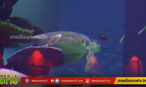 മാൾ ഓഫ് മസ്‌കറ്റിലെ അക്വാറിയം 