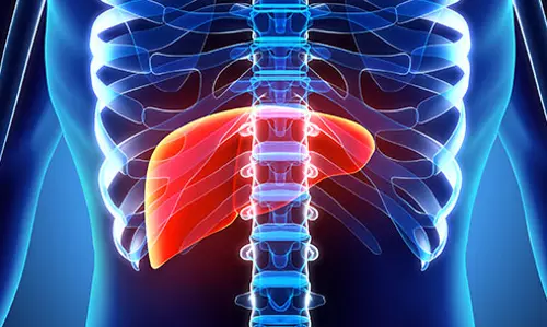 കരളിനെ കരളു പോലെ കാക്കാം ആയുര്‍വേദത്തിലൂടെ