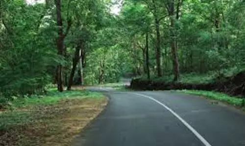 ആലുവ - മൂന്നാർ രാജപാത തുറക്കണമെന്ന് ആവശ്യം