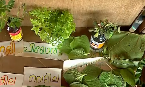 പഴമ നഷ്ടപ്പെടുന്ന പുതിയ കാലത്ത് പഴയ കാലത്തെ പുനരാവിഷ്കരിച്ച് കോളിയടുക്കം ഗവ. യു.പി സ്കൂളിലെ നാട്ടറിവ് പ്രദര്‍ശനം