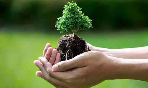 പ്രകൃതിക്കൊരു വോട്ട്; പ്രകൃതി സംരക്ഷകനൊരു വോട്ട്