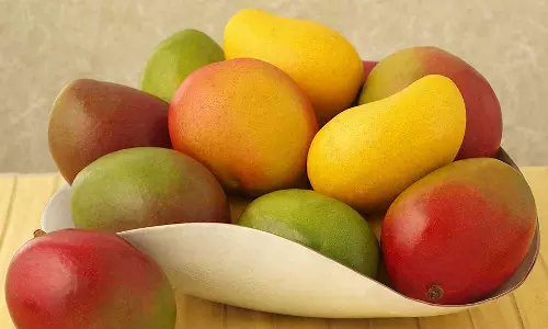 മല്ലിക, അൽഫോൻസ, പഞ്ചവർണ്ണ... വായില്‍ വെള്ളമൂറുന്ന മാമ്പഴങ്ങളുമായി കോഴിക്കോട് മാമ്പഴമേള 