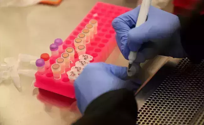 വരുന്നു കോവിഡ് പരിശോധന സ്വയം  നടത്താന്‍ കിറ്റ്; ഫലം 30 മിനിറ്റിനുള്ളില്‍