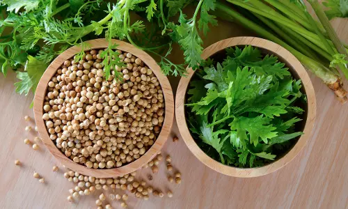 മല്ലിയും മല്ലിയിലയും പിന്നെ നൂറായിരം ഗുണങ്ങളും