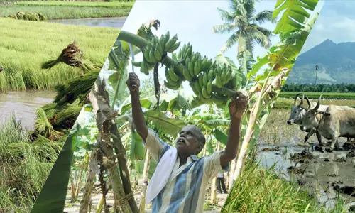 കേരളത്തിലെ തൊഴില്‍ നിയമ പരിഷ്കരണം ആര്‍ക്കുവേണ്ടി?