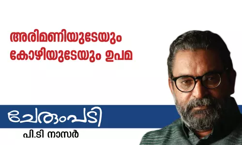 അരിമണിയുടേയും കോഴിയുടേയും ഉപമ