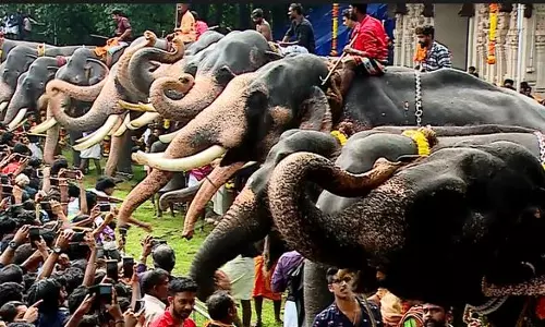 വടക്കുംനാഥന്‍റെ മണ്ണില്‍ ആനയൂട്ട്