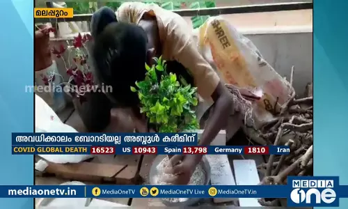 ഒഴിവുസമയം തടിക്കഷ്ണമുപയോഗിച്ച് ബോണ്‍സായ് രൂപങ്ങള്‍ നിര്‍മ്മിച്ച് കരീമും കുടുംബവും| News Theatre