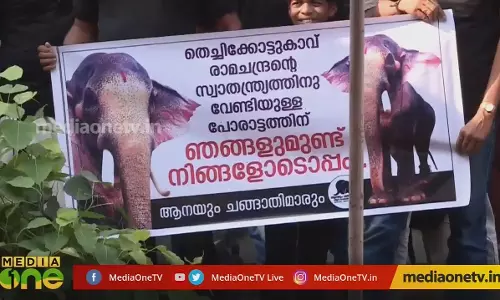 ആനയും ചങ്ങാതിമാരും 