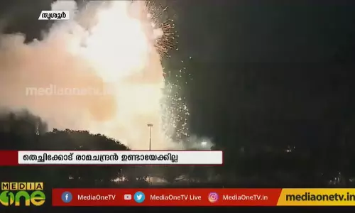 പൂരത്തിനൊരുങ്ങി തൃശ്ശൂർ 