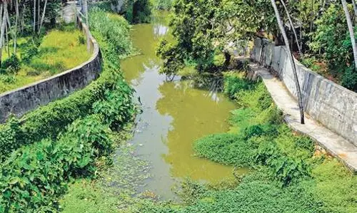 കക്കൂസ് മാലിന്യം തോട്ടില്‍ ഒഴുക്കാന്‍ ശ്രമം; മാലിന്യവുമായെത്തിയ വാഹനം മറിഞ്ഞു