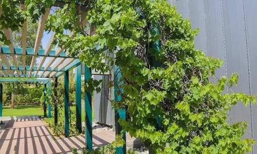 റമദാനില്‍ സജീവമായി ഖുര്‍ആനിക് പാര്‍ക്കുകള്‍; ഖുര്‍ആനിലെ സസ്യജാലങ്ങളാണ് ആകര്‍ഷണം