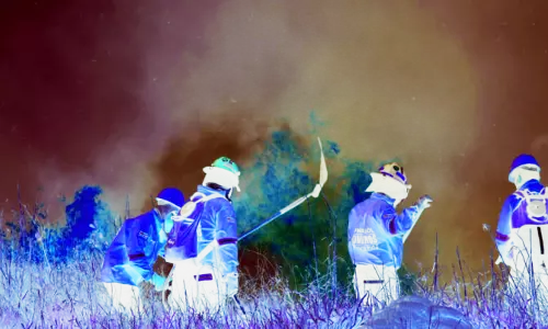 ബൊളീവിയന്‍ കാടുകളില്‍ തീ പടരുന്നു; തീയണക്കാന്‍ ഫ്രാന്‍സില്‍ നിന്നും പ്രത്യേക സംഘം