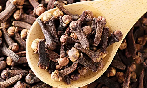 രുചിക്കും മണത്തിനും മാത്രമല്ല ഗ്രാമ്പു, ഔഷധഗുണങ്ങളേറെ