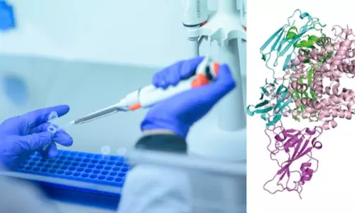 കോശങ്ങളെ കൊറോണ വൈറസ്  ബാധിക്കുന്നത് തടയുന്ന ആന്റിബോഡികൾ കണ്ടെത്തിയതായി ചൈനീസ് ശാസ്ത്രജ്ഞർ