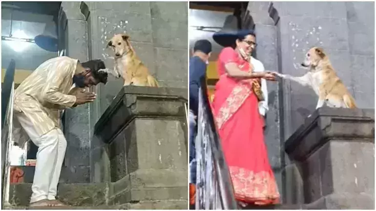 ക്ഷേത്രത്തിലെത്തുന്ന ഭക്തര്‍ക്ക് അനുഗ്രഹവും ഷേക്ക് ഹാന്‍ഡും കൊടുക്കുന്ന നായ; വൈറല്‍ വീഡിയോ