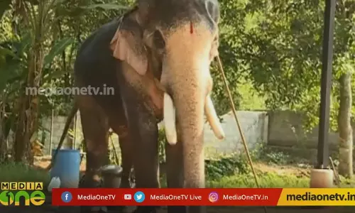 തെച്ചിക്കോട്ട്കാവ് രാമചന്ദ്രൻ കുളിച്ചൊരുങ്ങുകയാണ് 