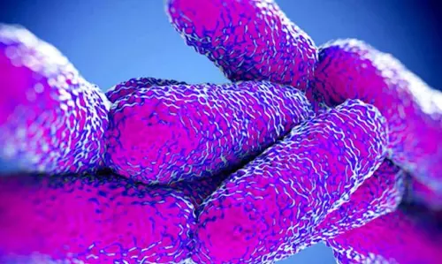 കോഴിക്കോട് ഷിഗെല്ല പകര്‍ച്ചവ്യാധി: വര്‍ഷവും 40 മുതല്‍ 50 വരെ രോഗബാധിതരെന്ന് പഠനം