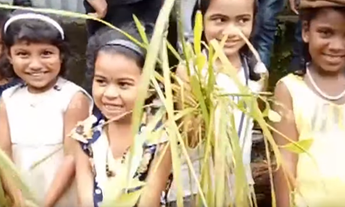 പഠനത്തോടൊപ്പം കൃഷിയുടെ ലോകത്തേക്കും കാല്‍വെച്ച് വീമംഗലം യുപി സ്കൂളിലെ വിദ്യാര്‍ത്ഥികള്‍