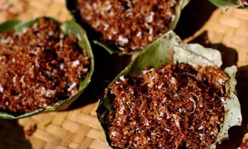 കോവിഡിനെ ചെറുക്കാന്‍ ചോണനുറുമ്പ് ചട്ട്‌നി; തീരുമാനമെടുക്കാന്‍ ആയുഷ് മന്ത്രാലയം