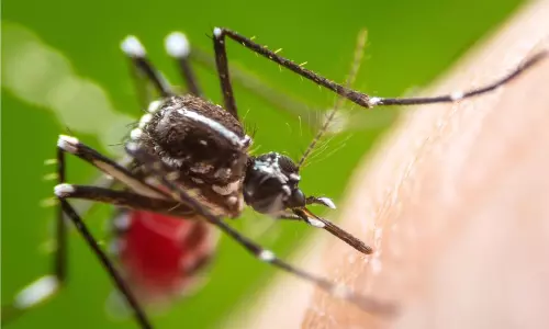 ഇന്ന് ദേശീയ ഡെങ്കിദിനം