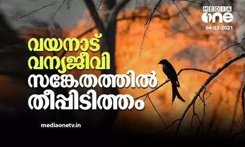 വയനാട്  വന്യജീവി സങ്കേതത്തില്‍ തീപ്പിടിത്തം