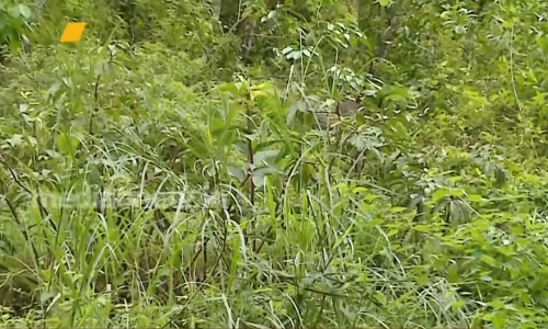 2001ല്‍ ഉണ്ടായ ഉരുള്‍ പൊട്ടലിന്റെ നടുക്കം ഇപ്പോഴും അമ്പൂരിക്കാരുടെ ഉള്ളില്‍ നിന്നും മാറിയിട്ടില്ല