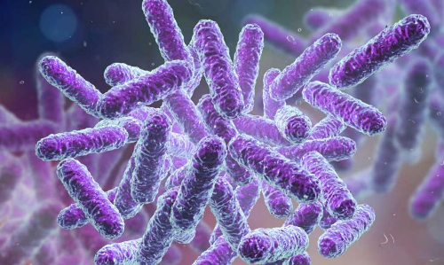 എറണാകുളത്ത് ഷിഗല്ല; മുൻകരുതൽ നടപടികൾ സ്വീകരിച്ചതായി ജില്ലാ ഭരണകൂടം