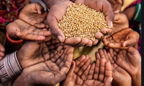 വരാനിരിക്കുന്നത് ഭക്ഷ്യക്ഷാമത്തിന്റെ നാളുകള്‍; മുന്നറിയിപ്പുമായി യു.എന്‍