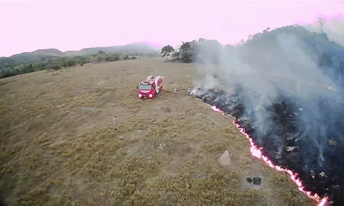 ആമസോണ്‍ കാടുകളിലെ തീയണക്കാന്‍ ബ്രസീല്‍ കൂടുതല്‍ സൈന്യത്തെ വിന്യസിച്ചു