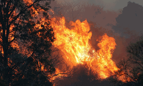 ആസ്ട്രേലിയയിലെ ന്യൂ സൗത്ത്‌ വെയില്‍സില്‍ വന്‍ കാട്ടുതീ 