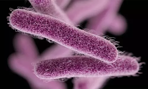 കോഴിക്കോട് 25 പേര്‍ക്ക് ഷിഗല്ല  രോഗലക്ഷണങ്ങള്‍; മുന്‍കരുതലെടുക്കണമെന്ന് ആരോഗ്യവകുപ്പ്