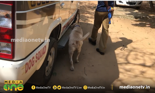 എങ്ങനെയാണ് ഒരു പൊലീസ് നായ കേസ് തെളിയിക്കുന്നത്?
