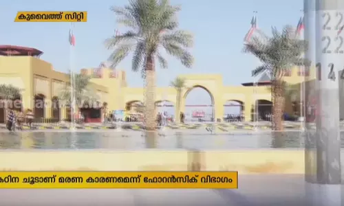 Mid East Hour | 11-06-19 