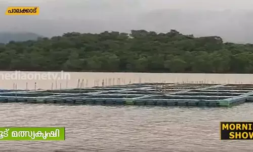 മലമ്പുഴ ഡാമിലെ കൂട് മത്സ്യകൃഷിയുടെ വിളവെടുപ്പ് കാണാം