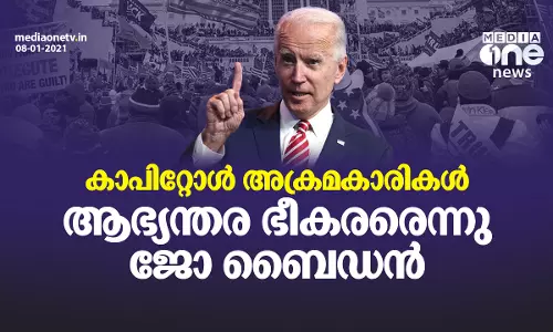 കാപിറ്റോൾ അക്രമകാരികൾ ആഭ്യന്തര ഭീകരരെന്നു ജോ ബൈഡൻ