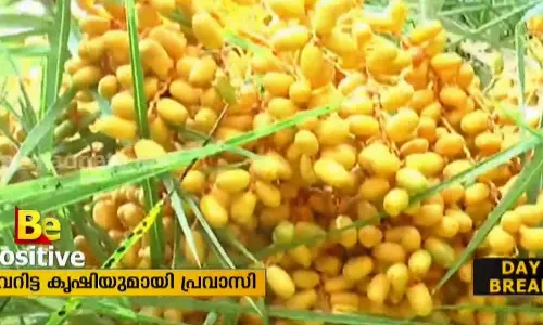 മറുനാടന്‍ കാര്‍ഷികവിളകളുമായി ജോബി