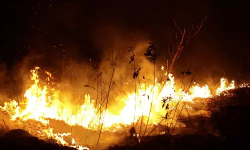 ആമസോണിലെ തീയണക്കാന്‍ ജി7 രാഷ്ട്രങ്ങളുടെ ഫണ്ട് സ്വീകരിക്കുമെന്ന് ബ്രസീല്‍