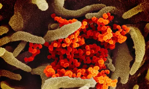 വരാനിരിക്കുന്നത് കൊറോണയേക്കാള്‍ മാരകം; മുന്നറിയിപ്പുമായി അമേരിക്കന്‍ ഡോക്ടര്‍