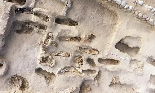 പെറുവിന്റെ തീരത്ത് 227 കുട്ടികളുടെ അവശിഷ്ടങ്ങള്‍; നടന്നത് ചരിത്രത്തിലെ ഏറ്റവും വലിയ ബാലബലി