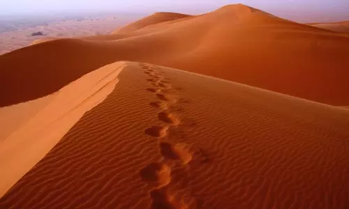 നാട്ടിലെത്താന്‍ മാര്‍ഗമില്ല; മലയാളികളുള്‍പ്പടെയുള്ളവര്‍ സൗദിയില്‍ കുടങ്ങി