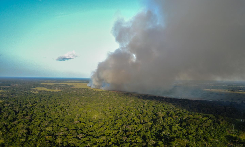 ആമസോണിന് പിറകെ കോംഗോയിലും കാട്ടുതീ