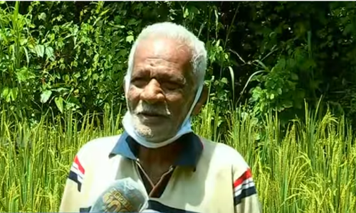 90 പിന്നിട്ടെങ്കിലും ചന്ദ്രേട്ടന്‍ ഇപ്പോഴും കാർഷിക വൃത്തിയുടെ തിരക്കിലാണ്